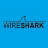 Learn Wireshark From Scratch - Quick and Easy Guide | Development Software Testing Online Course by Udemy