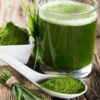 Wheatgrass: How to Grow and Juice A Superfood in 7 Days | Health & Fitness Nutrition Online Course by Udemy