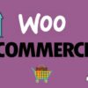 Woo Plugins - A Guide on the Best Plugins for WooCommerce | Business E-Commerce Online Course by Udemy