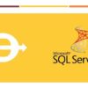 Microsoft SQL Server (70-461) Blm 1 | Development Programming Languages Online Course by Udemy