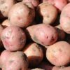 Growing Potatoes in your backyard garden | Lifestyle Home Improvement Online Course by Udemy