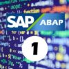 SAP ABAP Consultor Nivel 1 | Development Programming Languages Online Course by Udemy
