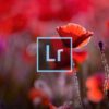 Adobe Lightroom for Beginners | Photography & Video Digital Photography Online Course by Udemy