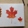 Sketchbook Everyday - Leaves in Watercolor | Lifestyle Arts & Crafts Online Course by Udemy