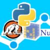 Create Arrays in Python NumPy - Learn Scientific Computing! | Development Software Testing Online Course by Udemy
