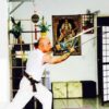 Curso Kung Fu Estilo da guia - Nvel I | Health & Fitness Fitness Online Course by Udemy