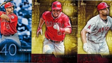Start a Business Dropshipping Topps Baseball Cards | Business E-Commerce Online Course by Udemy