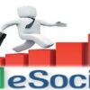 Impactos do eSocial na Gesto de Cargos e Salrios | Business Human Resources Online Course by Udemy