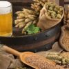 Insumos Cervejeiros (cerveja artesanal) | Lifestyle Food & Beverage Online Course by Udemy