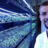 Growing Microgreens for Business and Pleasure | Business Entrepreneurship Online Course by Udemy