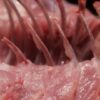 El universo de las carnes | Business Industry Online Course by Udemy
