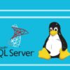 Training Mandiri: SQL Server 2017 on Linux | Development Database Design & Development Online Course by Udemy