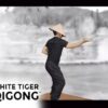 White Tiger Qigong Presents: Qigong to Conquer Fear | Health & Fitness Yoga Online Course by Udemy