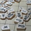 Shogi- | Lifestyle Gaming Online Course by Udemy