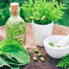 Herbalism: Transform Kitchen Herbs into Healing Remedies | Health & Fitness Nutrition Online Course by Udemy