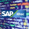 SAP IDoc Configuracin y Desarrollo | Development Development Tools Online Course by Udemy