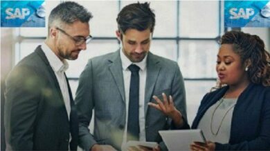 Curso Completo SAP MM Desde Cero | It & Software It Certification Online Course by Udemy