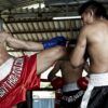 Muay Thai: Intensive Training | Health & Fitness Sports Online Course by Udemy
