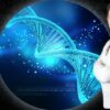 Artificial Intelligence #7: Genetic Algorithm Optimization | Development Data Science Online Course by Udemy