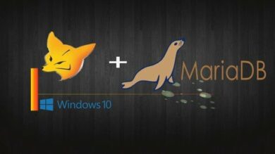 Entrenamiento Visual FoxPro 9 y MariaDB -Mod01 | It & Software Other It & Software Online Course by Udemy