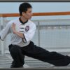 ESJBGA - El ADN del KungFu / WuShu - Nivel Bsico | Health & Fitness Self Defense Online Course by Udemy