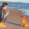 Dog Behavior & Training Problems | Lifestyle Pet Care & Training Online Course by Udemy