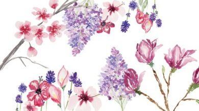 Watercolor Loose Florals | Lifestyle Arts & Crafts Online Course by Udemy