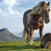 Horse Care 101 - Equine Encounters Of The First Kind | Lifestyle Pet Care & Training Online Course by Udemy
