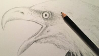 Conscious Drawing Techniques - for beginners | Lifestyle Arts & Crafts Online Course by Udemy