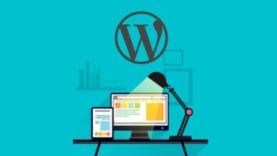 WordPress Pour Les Dbutants: Crer Un Site Gratuit Efficace | Business Media Online Course by Udemy