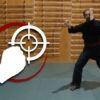 Martial Arts - Taijutsu - Beginner Vital Point Striking | Health & Fitness Self Defense Online Course by Udemy