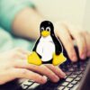 Aprendendo terminal Linux pondo a mo na massa! | It & Software Operating Systems Online Course by Udemy