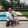 Formao de Adestradores | Lifestyle Pet Care & Training Online Course by Udemy