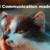 Animal Communication made EASY | Lifestyle Pet Care & Training Online Course by Udemy