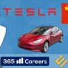 (Tesla Case Study in Chinese) | Business Other Business Online Course by Udemy