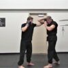 Practical Tactics Martial Arts: Level 1 | Health & Fitness Self Defense Online Course by Udemy