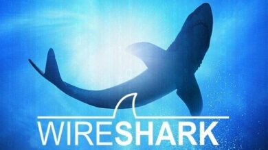 Fundamentos Wireshark | It & Software Network & Security Online Course by Udemy
