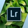 Die Adobe Lightroom Classic CC Masterclass | Photography & Video Photography Tools Online Course by Udemy