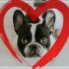 Punishment-Free Dog Training: 30 Day Perfect Dog Blueprint | Lifestyle Pet Care & Training Online Course by Udemy