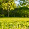 A beginners course on how to create and care for lawns. | Lifestyle Home Improvement Online Course by Udemy