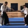 Aikido ABC - Vol 3. Advanced techniques | Health & Fitness Self Defense Online Course by Udemy