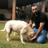 Adestramento Comportamental Para Ces de Casa e Apartamento | Lifestyle Pet Care & Training Online Course by Udemy