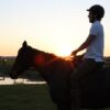 Speak the Horse Language: Master Your Horsemanship Energy | Lifestyle Pet Care & Training Online Course by Udemy