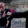 Wing Chun Master | Health & Fitness Self Defense Online Course by Udemy