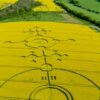 Messages from Aliens? Crop Circles; Signs of Hope | Lifestyle Esoteric Practices Online Course by Udemy