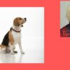 Dog Training; Dog Behavior; Research Backed Approach | Lifestyle Pet Care & Training Online Course by Udemy