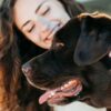 Cuidador de Ces: Curso Bsico para atuao em Creche e Hotel | Lifestyle Pet Care & Training Online Course by Udemy