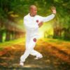 Tai Chi - Yang style- Chi Kung | Health & Fitness General Health Online Course by Udemy