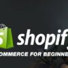 Shopify E-Commerce Websites for Beginners & Freelancers | Business E-Commerce Online Course by Udemy