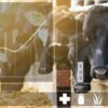 Livestock and Poultry 4.0 - The Impact of Industry 4.0 | Business Industry Online Course by Udemy
